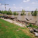 April Douglass Photo 10