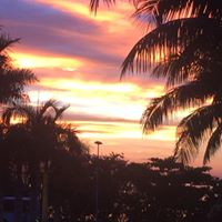 Carol Dougherty Photo 28