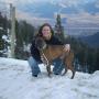 Sharon Meyer Photo 11