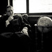 Josh Guthrie Photo 12