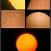 Del Lunt Photo 8