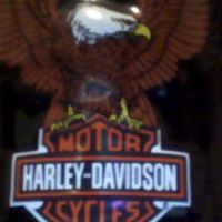 Gary Hess Photo 25
