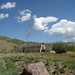 Connie Foley Photo 19