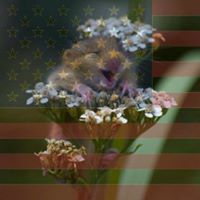 Marcia Carpenter Photo 29