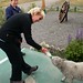 Karan Lamb Photo 7