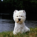 Sally Thompson Photo 12