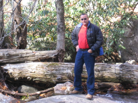 David Wells Photo 1