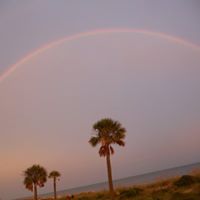 Joyce Randall Photo 37
