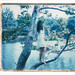 Elizabeth Pack Photo 12