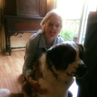 Deborah Schreck Photo 3