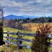 Virginia Meadows Photo 13