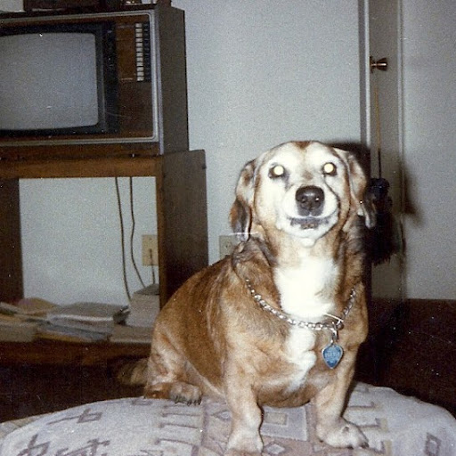 Jim Cramer Photo 18