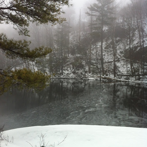 Eric Saunders Photo 18