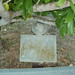Mary Mccain Photo 22