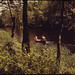 Ernst Charles Photo 6