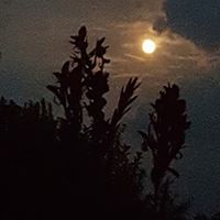 Karen Beebe Photo 15