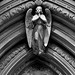 Angel Patrick Photo 25