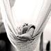 Cheng Shi Photo 25