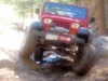 Andy Roy Photo 37