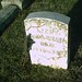Samuel Carr Photo 27