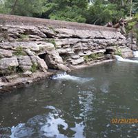 Charles Hayden Photo 17