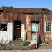 Elizabeth Rust Photo 38