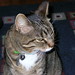 Richard Parker Photo 11