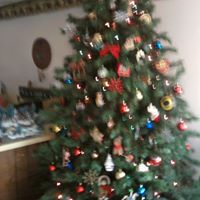 Susan Freeland Photo 27
