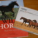 Kerri Hill Photo 27