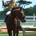 Felix Ortiz Photo 41