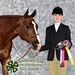 Sarah Westmoreland Photo 29