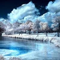 Ahmed Nooh Photo 8