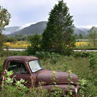 Sherrie Allen Photo 2