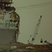 Robin Mills Photo 1