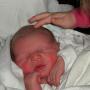 Janice Boettcher Photo 11