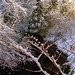 Angel Noel Photo 20