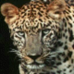 Phillip Richards Photo 10