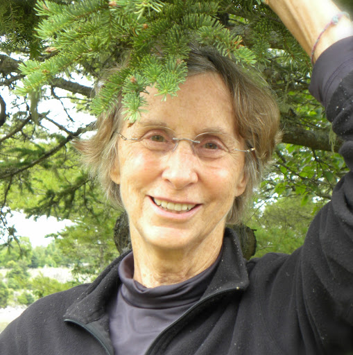 Gail Holmes Photo 24