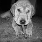 Stacy Applegate Photo 5