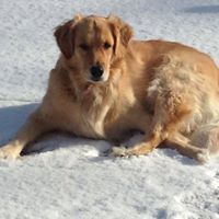 Cheryl Jeffers Photo 14