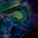 Marilyn Summers Photo 20