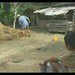 Thanh Danh Photo 11