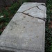 Robert Major Photo 15