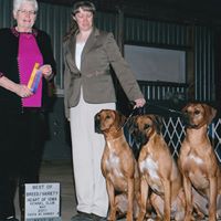 Teri Olson Photo 11