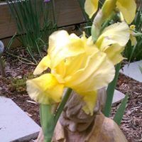 Barbara Dozier Photo 39