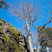 Martin Arroyo Photo 31