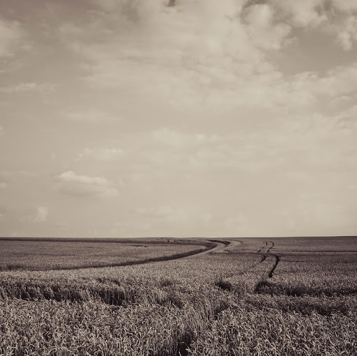 John Betts Photo 16