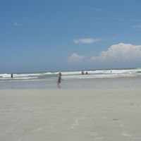 Dana Lester Photo 10