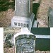 Joseph Cutler Photo 23