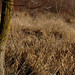 Wayne Meadows Photo 28